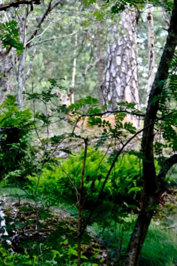 Bed&Breakfast In Nature 12 Min From City Free Bikes สต็อกโฮล์ม ภายนอก รูปภาพ